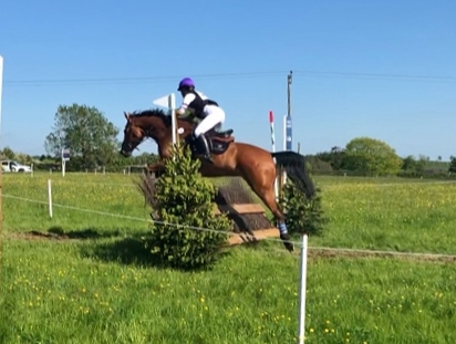 2021_06__05_Bea_Taylor_Showjumping_Princethorpe_b.jpg__2_